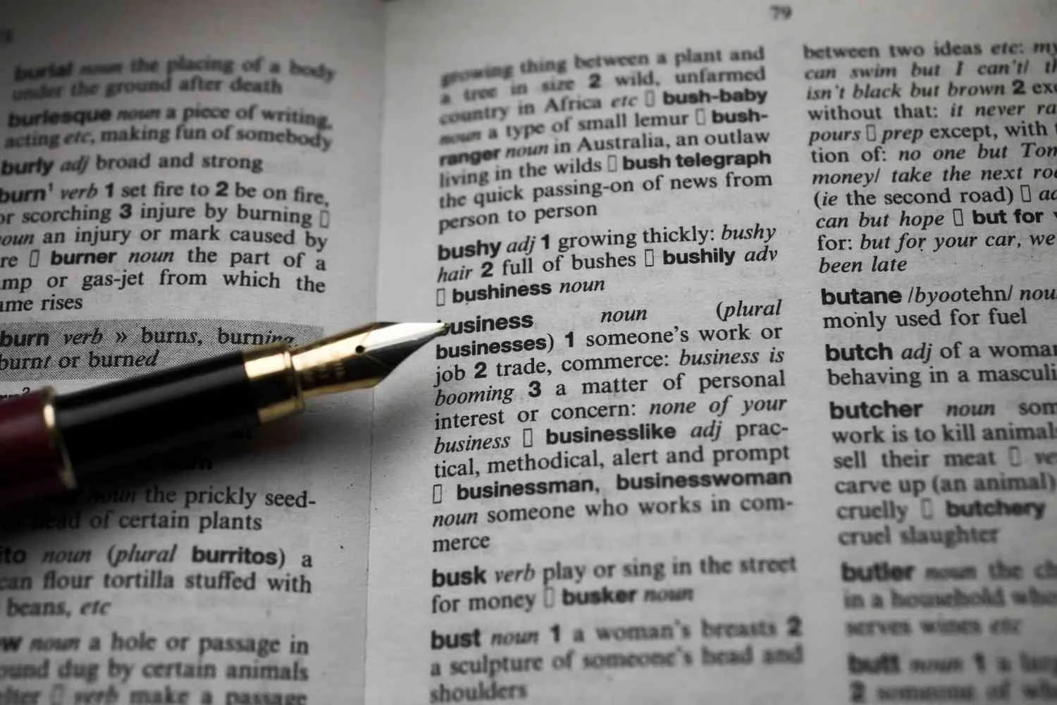business canadianghostwriters